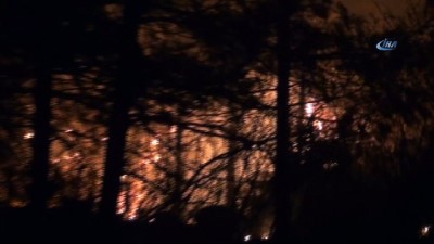  Kozan’da orman yangını 