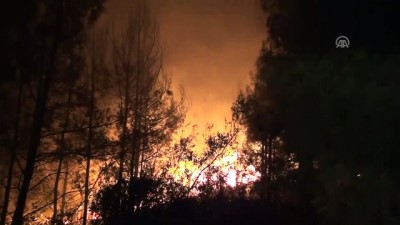 Orman yangını - ADANA 