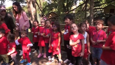 ziyaretciler - Uluslararası Kırmızı Panda Günü - BURSA  Videosu