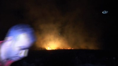  Adıyaman’da korkutan orman yangını... 15 Hektarlık ormanlık alan yandı 