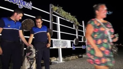 mustafa eren -  Aracın arkasına bağlanıp sürüklenen köpek 'Turizm Zabıtası' oldu Videosu