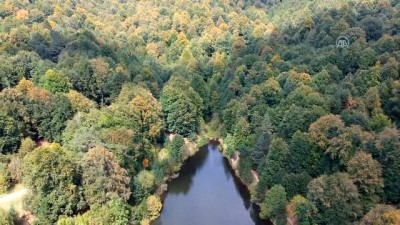 ziyaretciler - Domaniç Dağları'nda sonbaharın ilk renkleri - KÜTAHYA Videosu