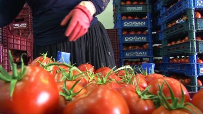  İhracatçıya 'kabzımal' engeli 