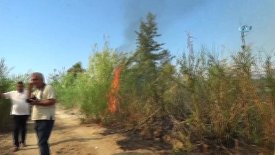  Sorgun Çamlığında orman yangını