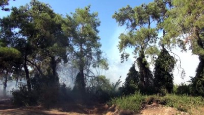 Titreyengöl mevkisinde orman yangını - ANTALYA