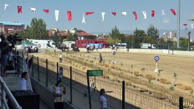 Atlı Okçuluk Türkiye Şampiyonası Finali başladı - DENİZLİ