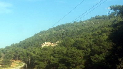  Soma’da orman yangını