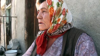 Beypazarı'nda kediye işkence iddiası - ANKARA 