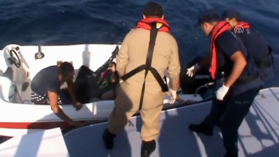istankoy - Ege Denizi'nde yasa dışı geçişler - MUĞLA  Videosu