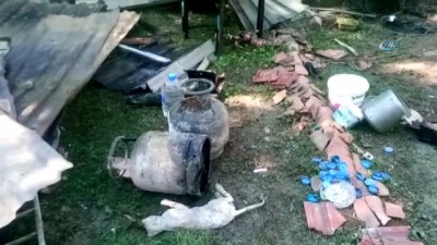 evde tek basina -  Hayvansever kadın çıkan yangında kedileriyle birlikte öldü  Videosu