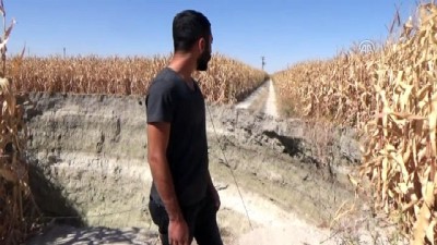misir tarlasi - Karapınar'da yeni obruk oluştu - KONYA Videosu