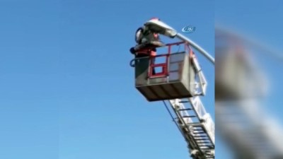  Sokak lambasına ayağı takılan martı kurtarıldı 