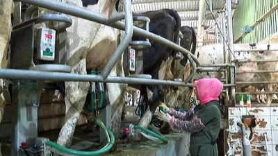 sut uretimi -  Afyonkarahisar’da Avrupa standartlarında süt üretiliyor  Videosu