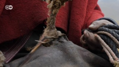 And Dağları'nın intihar eden kuşları