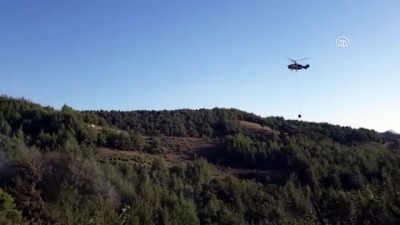 Kozan'da orman yangını - ADANA