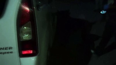 narkotik kopek -  Mersin'de 3.5 kilo esrar ele geçirildi  Videosu