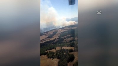 Orman yangını - BALIKESİR 