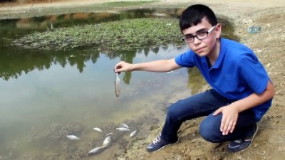 tarim -  Porsuk Barajı'nda esrarengiz balık ve kerevit ölümleri  Videosu