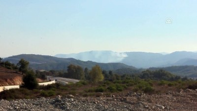Suriye sınırında orman yangını - HATAY