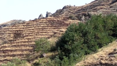 ilkbahar - Aras Dağları'nda erozyonla mücadele hamlesi - IĞDIR  Videosu