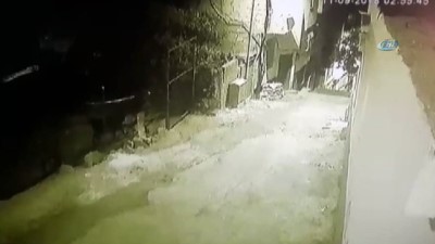  Hayvan hırsızı kamerada 