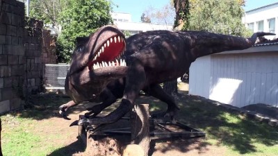 KTÜ'de Doğa Müzesi oluşturulacak - TRABZON 