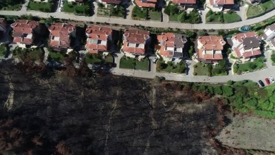 orman alani -  Lüks villaların yanında küle dönen Bursa'nın ciğerleri yeniden yeşeriyor  Videosu