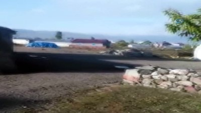  Aç kalan kurt mahalleye indi... O anlar kamerada