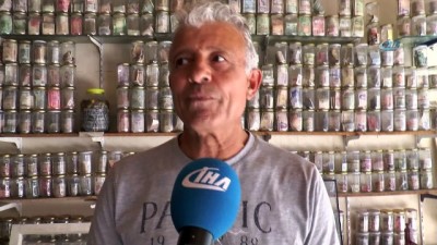  Doların turşusunu kurdu