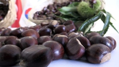 Sezonun ilk kestanesi kilogramı 50 liradan satıldı - AYDIN