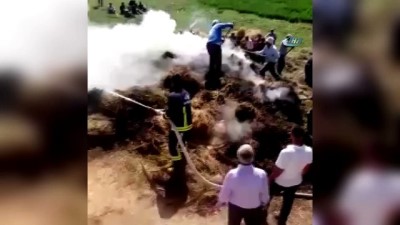  Başkale’de çıkan yangında 2 bin bağ ot kül oldu