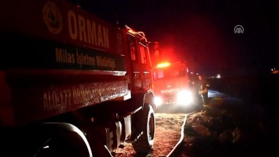 Bodrum'da makilik yangını 