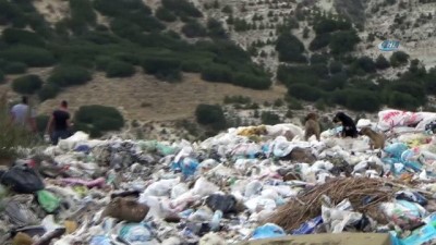  Burdur’da sokak hayvanları beslendi 
