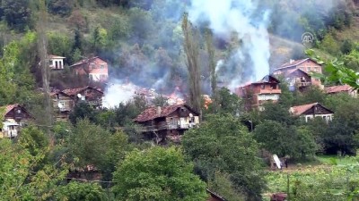 Kastamonu'da yangın (2)