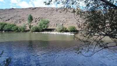  Kazlar kış mevsimine hazırlanıyor 