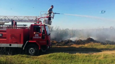 yangina mudahale -  Tavşanlı'da ot yangını besi damlarına ulaşamadan söndürüldü  Videosu