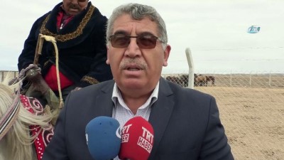  Yılkı atları Kırgızların elinde evcilleşiyor 