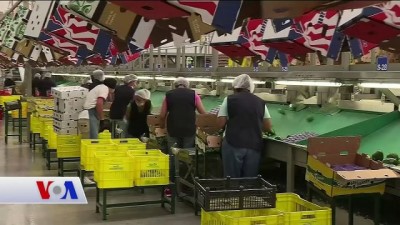 ABD'de İyi Giden Ekonomik Seyir Tersine Dönebilir mi? 