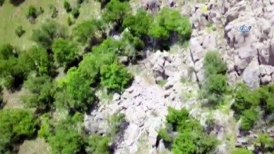 teror operasyonu -  Hakkari’de terör operasyonu: 9 tutuklama Videosu