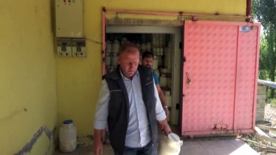  Muş’tan dünyaya peynir ihracatı 