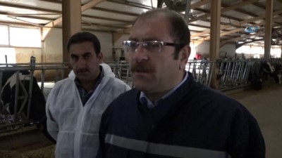  Şap aşılama kampanyası başladı 