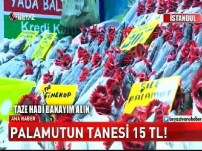 Tezgahlarda palamut bolluğu