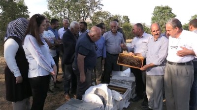 kovanlik - 'Toplu arı ölümleri” üreticileri endişelendirdi - BİNGÖL  Videosu