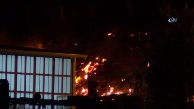  Ayvalık’ta sanayi sitesi ile asfalt şantiyesi arasındaki bölgede çıkan yangın korkuttu 