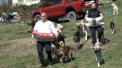  Hayvansever Erol Şahin sokak köpeklerine sahip çıktı 