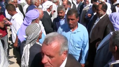 asiret - Şanlıurfa'da husumetli aileler barıştırıldı  Videosu