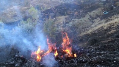 ormana -  - Yangını ormana sıçramadan gazeteciler söndürdü Videosu