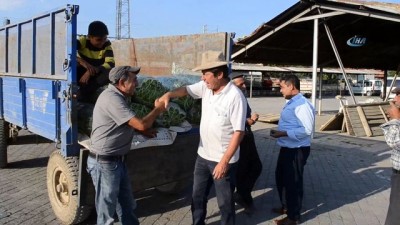  Fasulyedeki verimsizlik üreticiyi üzdü