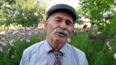 diplomasi -  80 yaşında ilkokul diplomasını aldı  Videosu