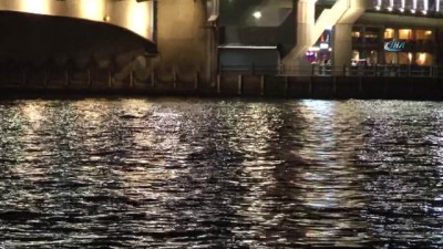 yunuslar -  Galata Köprüsü altında yunusların gösterisi büyük beğeni topladı  Videosu